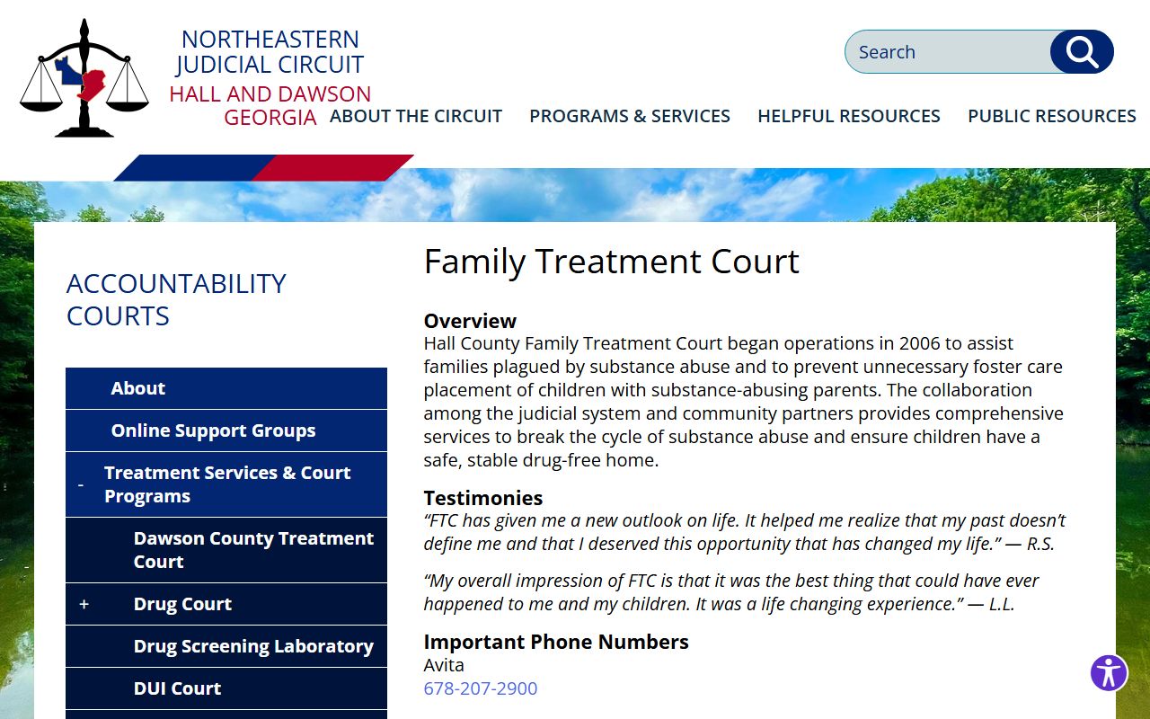 Hall County criminal court records Hall County Family Treatment Court