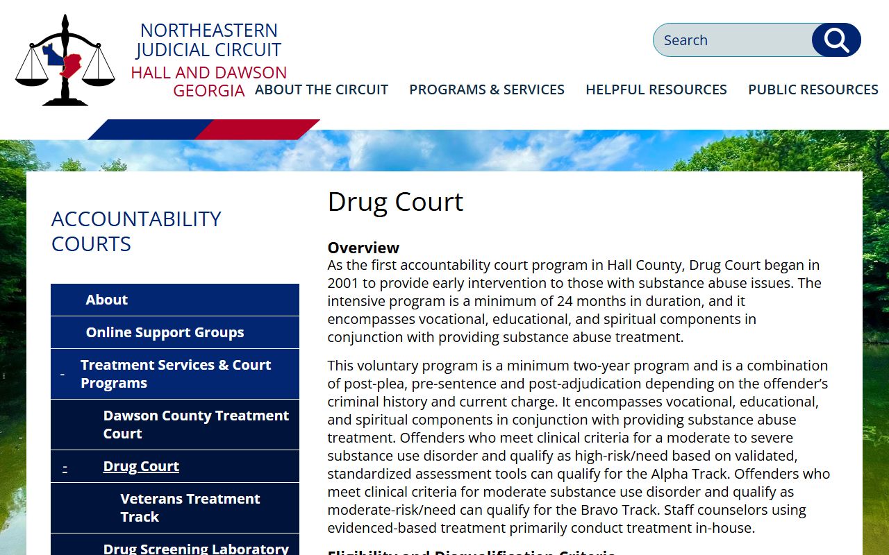 Hall County criminal court records Hall County Drug Court